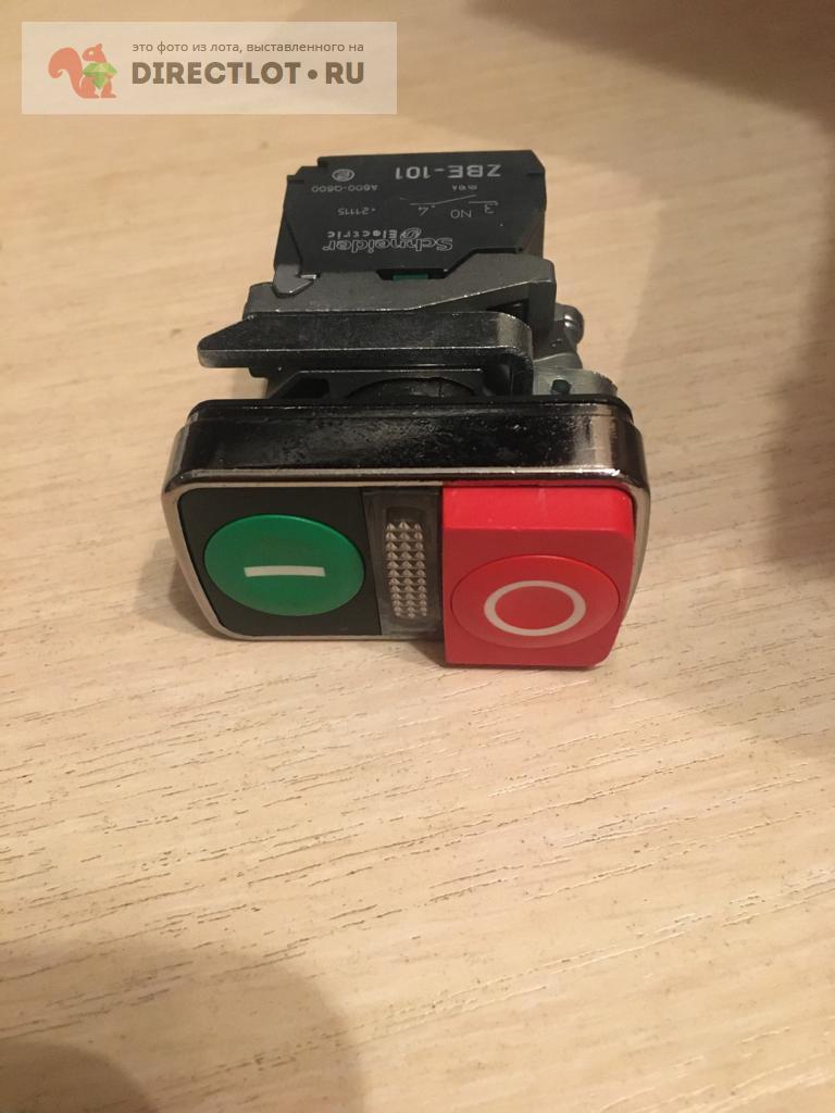 Кнопка сдвоенная пуск-стоп с индикатором XB4BW73731M5 купить в ...