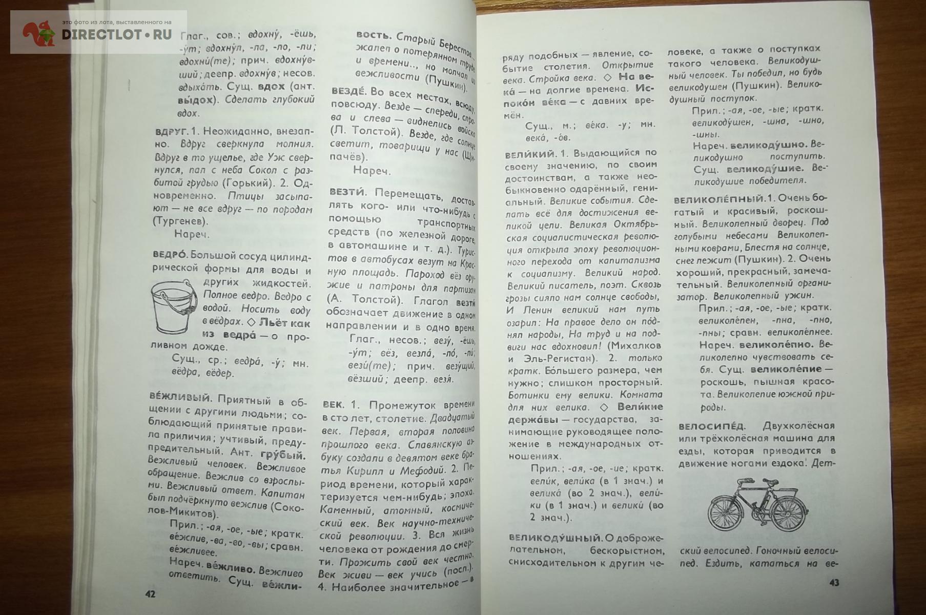 Бирюков В.Г. Толковый словарь Русского Языка купить в Курске цена 240 Р на  DIRECTLOT.RU - Товары для рукоделия, творчества и хобби продам