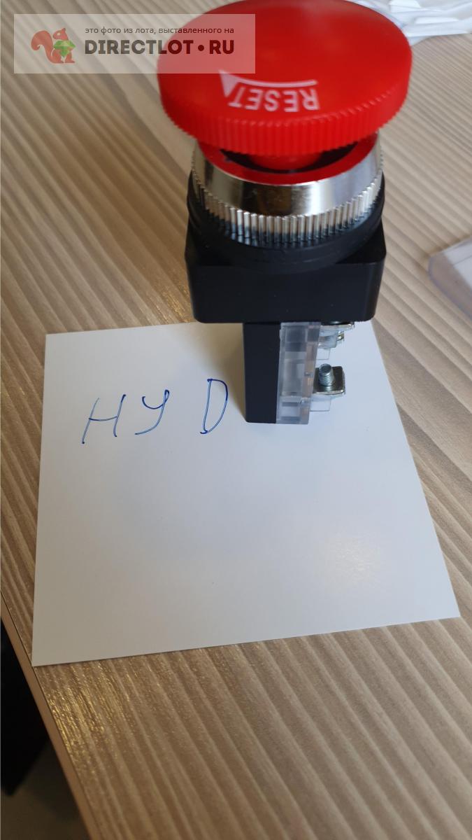 Кнопка стоп с фиксацией купить в Смоленске цена 200 Р на DIRECTLOT.RU ...